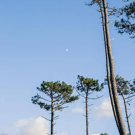 Hostal Arca Nova - Caminha