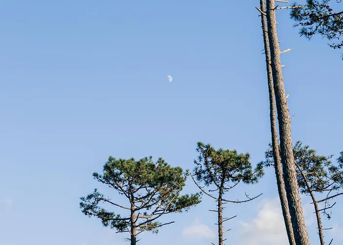 Albergue Arca Nova - Caminha