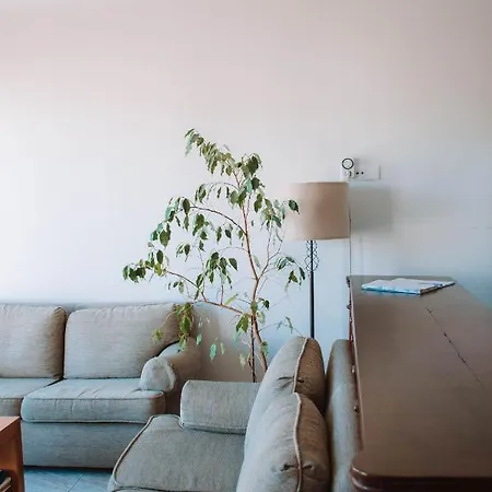 Arca Nova Guest House - Caminha