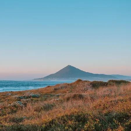 Hostel Arca Nova Guest House - Caminha