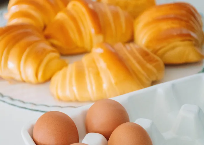 Arca Nova Guest House - Caminha